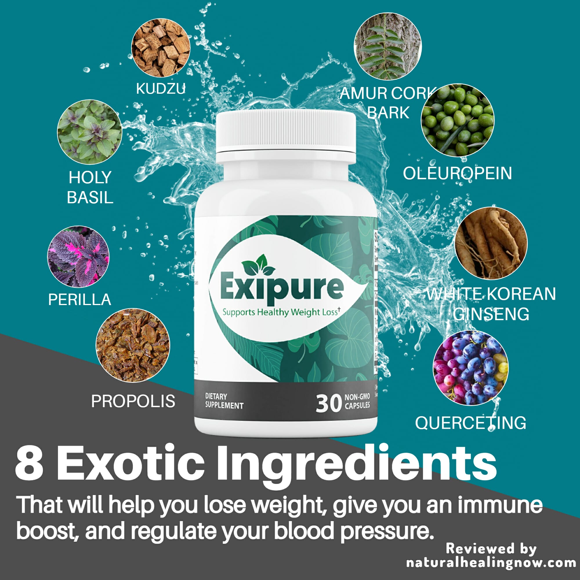 List of Exipure ingredients that target your low brown adipose tissue